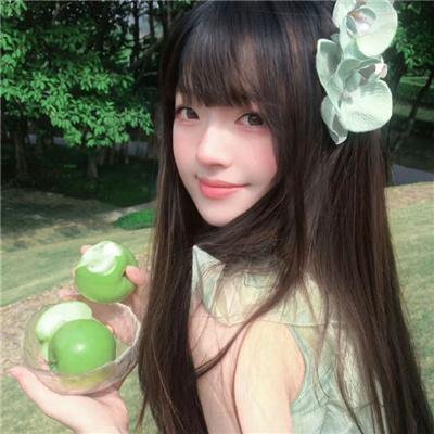 恶搞之家第十二季 封面